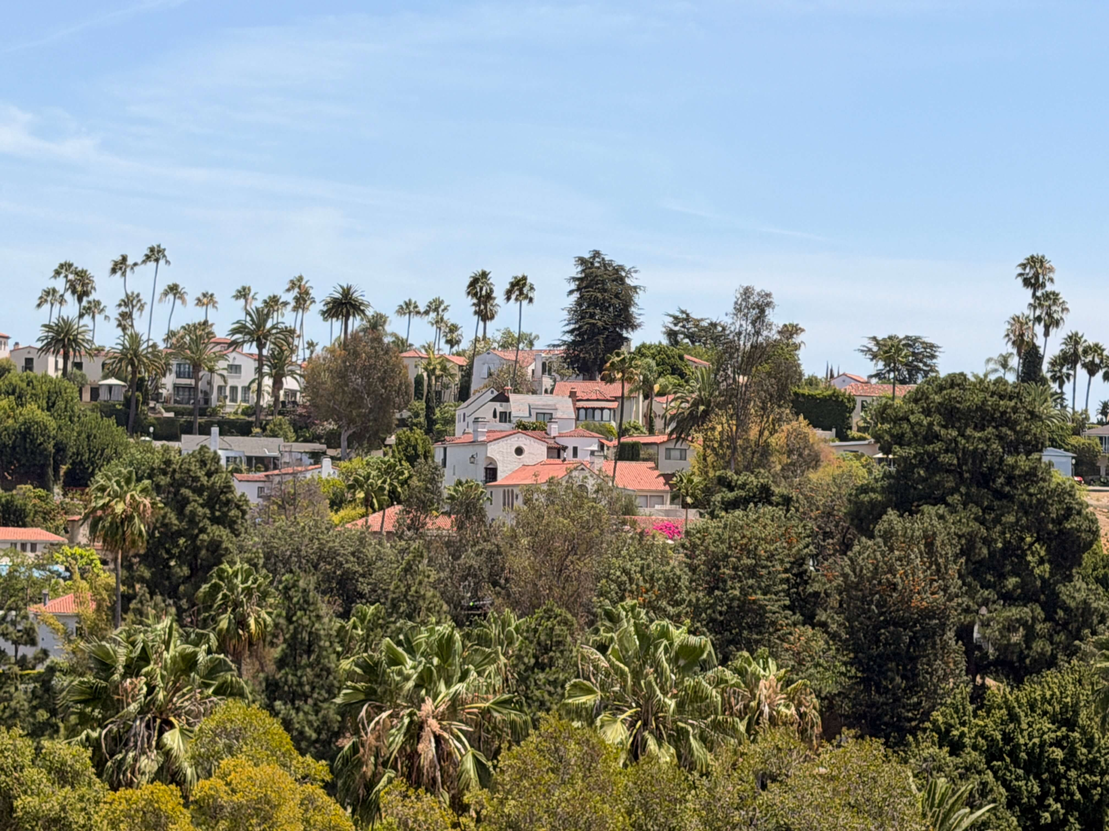 An eye-level perspective looking across at the historic Whitley Heights neighborhood in Los Angeles, showcasing classic Spanish Colonial revival architecture with red tile roofs nestled among mature palm trees and lush hillside greenery.