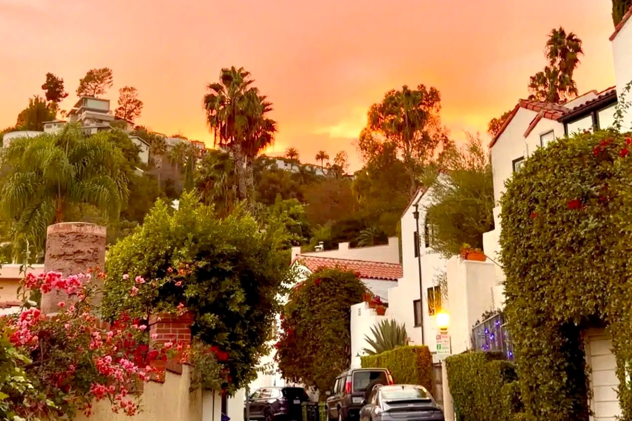 Hollywood Heights hillside street at sunset with Spanish Revival houses, palm trees and bougainvillea