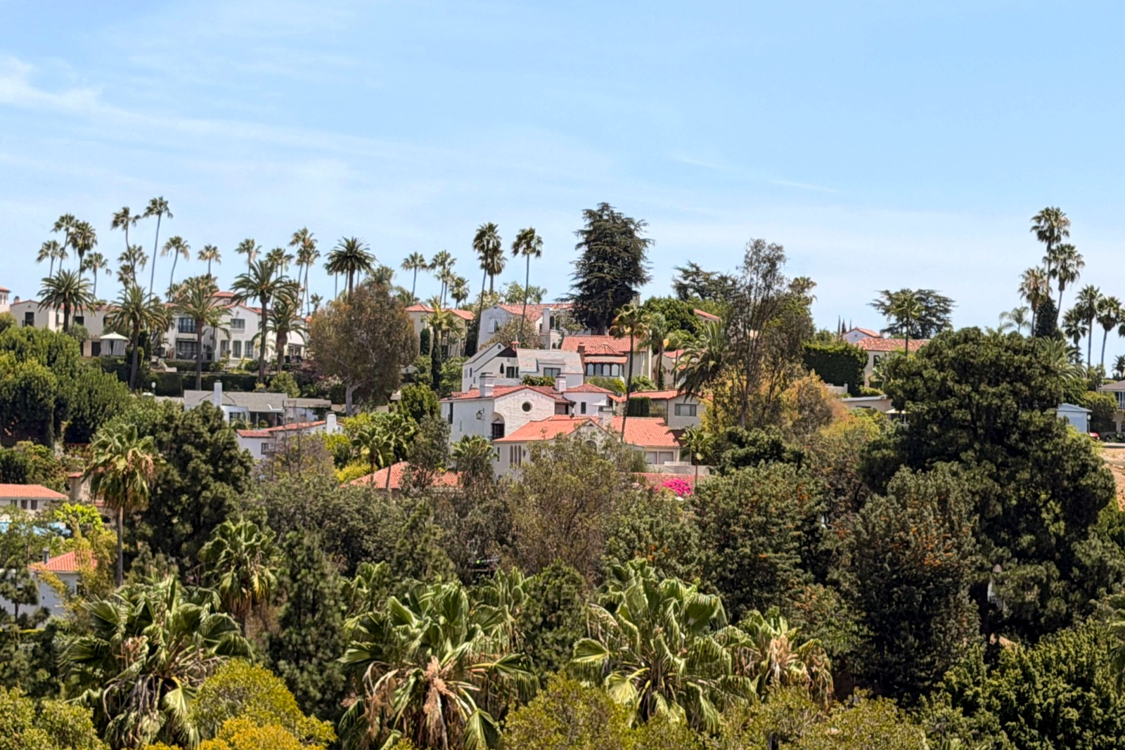 Whitley Heights hillside in Hollywood with white Mediterranean Revival villas, red tile roofs and tall palm trees